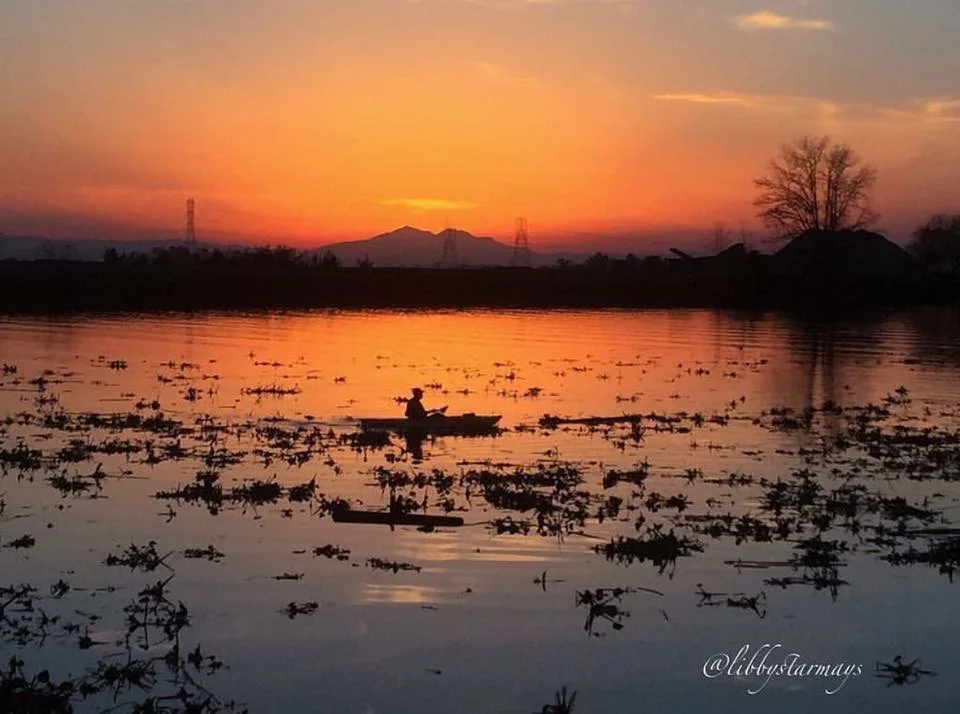 Sunset over water photographed by Libby Mays